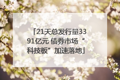 21天总发行量3391亿元 债券市场“科技板”加速落地