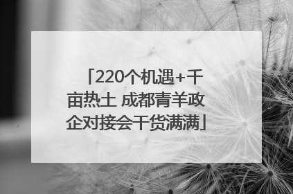 220个机遇+千亩热土 成都青羊政企对接会干货满满