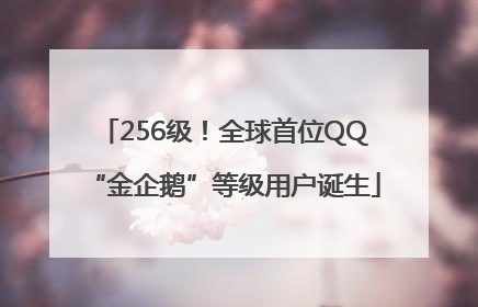 256级！全球首位QQ“金企鹅”等级用户诞生