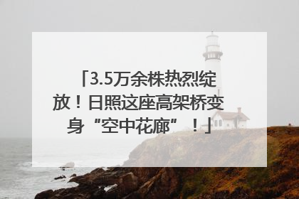 3.5万余株热烈绽放！日照这座高架桥变身“空中花廊”！