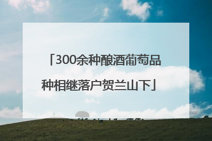 300余种酿酒葡萄品种相继落户贺兰山下