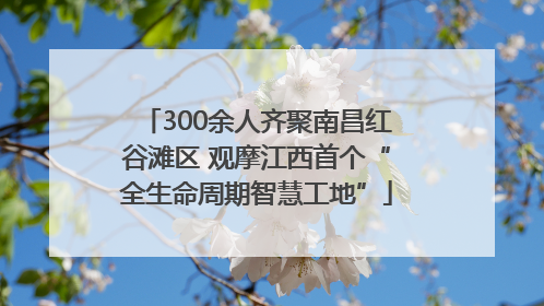 300余人齐聚南昌红谷滩区 观摩江西首个“全生命周期智慧工地”