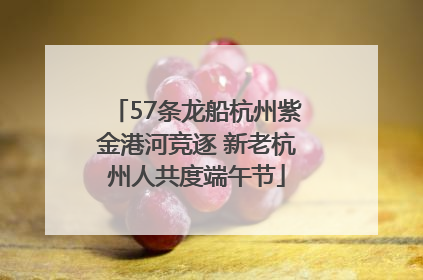 57条龙船杭州紫金港河竞逐 新老杭州人共度端午节