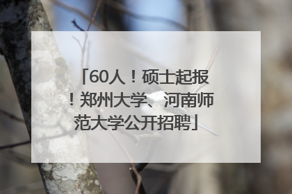 60人！硕士起报！郑州大学、河南师范大学公开招聘
