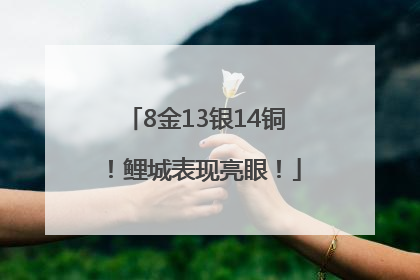 8金13银14铜！鲤城表现亮眼！