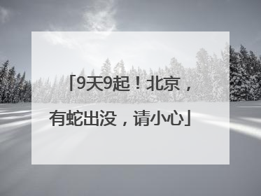 9天9起！北京，有蛇出没，请小心