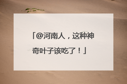 @河南人，这种神奇叶子该吃了！