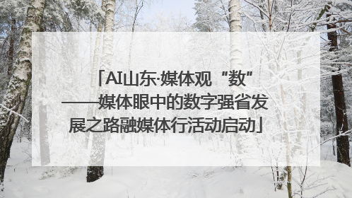 AI山东·媒体观“数”——媒体眼中的数字强省发展之路融媒体行活动启动