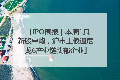 IPO周报｜本周1只新股申购，沪市主板迎尼龙6产业链头部企业
