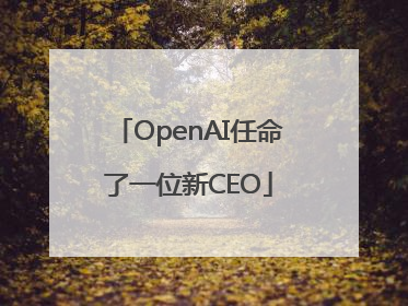 OpenAI任命了一位新CEO