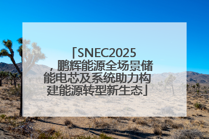 SNEC2025，鹏辉能源全场景储能电芯及系统助力构建能源转型新生态