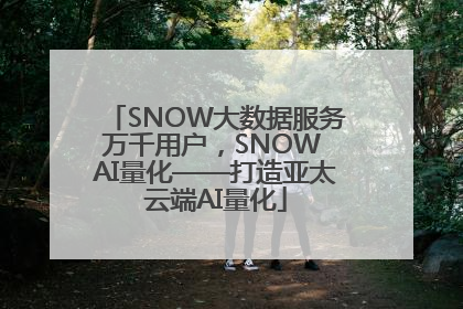 SNOW大数据服务万千用户，SNOW AI量化——打造亚太云端AI量化